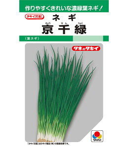 lM   ^LC c cp v   K  ˂ {lM ^l lM  ƒ؉ _ ZNg  ؎q v^[ ؎ ܂ R͔| d c ͔| 