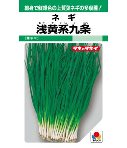 lM  󉩌n ^LC c cp v   K  ˂ {lM ^l lM  ƒ؉ _ ZNg  ؎q v^[ ؎ ܂ R͔| d c 