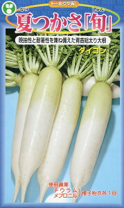 卪  Ău{v g[zN   ƒ؉ v   _ ZNg