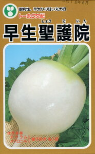 卪  @ g[zN   ƒ؉ v   _ ZNg