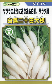 二十日大根 種 白鷺二十日大根 トーホク おいしい 種類 家庭菜園 プロ向け 大袋 小袋 農家 セレクト