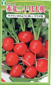 二十日大根 種 赤丸二十日大根 トーホク おいしい 種類 家庭菜園 プロ向け 大袋 小袋 農家 セレクト