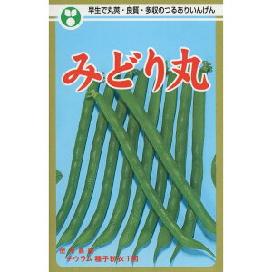 CQ  ݂ǂ g[zN   ƒ؉ v   _ ZNg ؂̎ ؉  v^[͔| x_؉ v^[؉ ƒ؉S |S ȒP