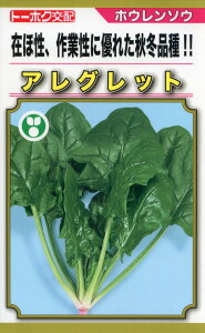 zE\E  AObg g[zN @@   ƒ؉ v   _ ZNg