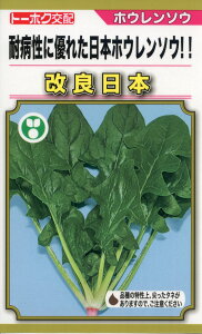 zE\E  Ǔ{ g[zN @@   ƒ؉ v   _ ZNg