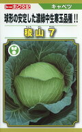キャベツ 種 稜山7 トーホク 種子 畑 品種 たね 送料無料 キャベツ種 キャベツの種 自然栽培野菜 鉄分 鉄…