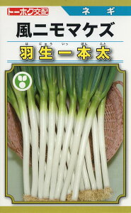 lM  H{ g[zN cp v   K  ˂ {lM ^l lM  ƒ؉ _ ZNg  ؎q v^[ ؎ ܂ R͔| d c ͔| 