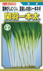 lM  ։H{ g[zN v   K  ˂ {lM ^l lM  ƒ؉ _ ZNg  ؎q v^[ ؎ ܂ R͔| d c ͔|  { i