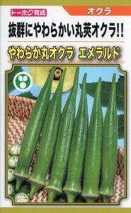 IN  Gh g[zN   ƒ؉ v   _ ZNg ƒ؉ ؂̎ ؉  v^[͔| x_؉ v^[؉ ƒ؉S |