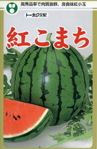 XCJ  g܂ g[zN  ƒ؉ v Â ̔ XCJԐF 햳 q  R͔| ʕ ØI XCJ  XCJ̎ XCJ̕c ʂ ʃXCJ 