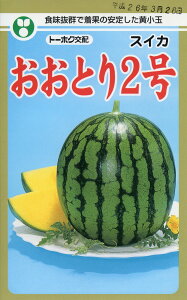 XCJ  Ƃ2 g[zN  ƒ؉ v Â ̔ XCJԐF 햳 q  R͔| ʕ ØI XCJ  XCJ̎ XCJ̕c ʂ ʃXCJ 