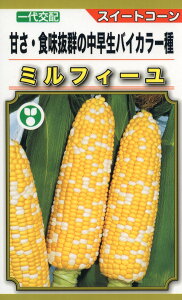 XC[gR[  ~tB[ g[zN cp ^l  F gERV   ƒ؉ v   _ ZNg  ܂  Ƃ낱 Â X[v  q 