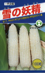 XC[gR[  ̗d g[zN   ƒ؉ v   _ ZNg