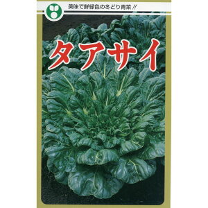 ^ATC  g[zN   ƒ؉ v   _ ZNg