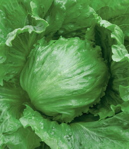 ^X  JuX ^LC c ƒ؉ v   _ ZNg  ^l ؂̎ ؉  v^[͔| x_؉ v^[؉ ƒ؉S |S ȒP͔| 