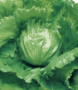 ^X  T[}X^[ ^LC c ƒ؉ v   _ ZNg  ^l ؂̎ ؉  v^[͔| x_؉ v^[؉ ƒ؉S |S 