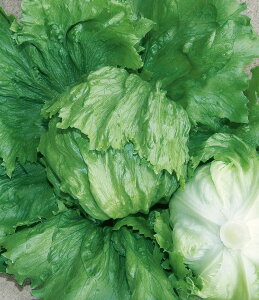 ^X  IAVX ^LC c ƒ؉ v   _ ZNg  ^l ؂̎ ؉  v^[͔| x_؉ v^[؉ ƒ؉S |S ȒP͔| 