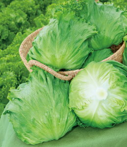 ^X  T}[KC ^LC c ƒ؉ v   _ ZNg  ^l ؂̎ ؉  v^[͔| x_؉ v^[؉ ƒ؉S |S ȒP