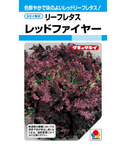 [t^X  bht@C[ ^LC c ƒ؉ v   _ ZNg  ^l