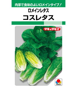 ^X  RX^X ^LC c ƒ؉ v   _ ZNg  ^l ؂̎ ؉  v^[͔| x_؉ v^[؉ ƒ؉S |S ȒP