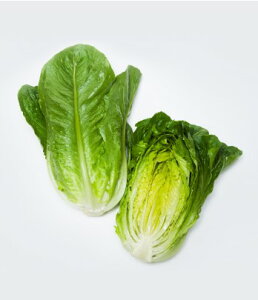 ^X  Ӓ}A ^LC c ƒ؉ v   _ ZNg  ^l ؂̎ ؉  v^[͔| x_؉ v^[؉ ƒ؉S |S ȒP