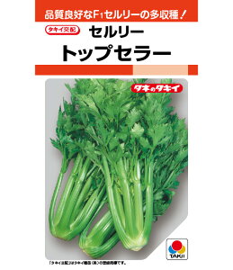 Z  gbvZ[ ^LC c ƒ؉ v   _ ZNg  ^l Z[