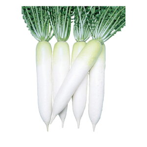 卪  { z _CR nӍ̎   ƒ؉ v   _ ZNg