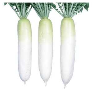 卪  M{ z _CR nӍ̎   ƒ؉ v   _ ZNg