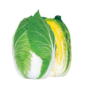   H̍ՓT z nӍ̎ nNTC   ƒ؉ v   _ ZNg