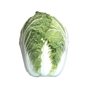    z nӍ̎ nNTC   ƒ؉ v   _ ZNg