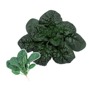 �z�E�����\�E �� ���� ������z �@�@�� �n�Ӎ̎�� �������� ��� �ƒ�؉� �v������ ��� ���� �_�� �Z���N�g