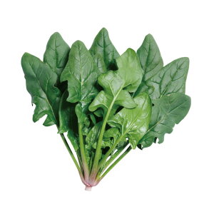 zE\E  ߂Ⴄ7 z @@ nӍ̎   ƒ؉ v   _ ZNg