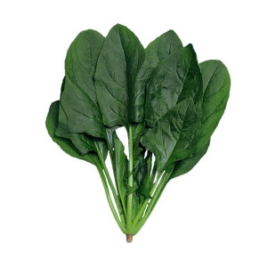 zE\E  T}[rNg[ z @@ nӍ̎   ƒ؉ v   _ ZNg