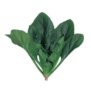 zE\E  T}[rNg[7 z @@ nӍ̎   ƒ؉ v   _ ZNg