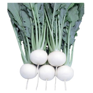 Ju  CRႠ z nӍ̎   ƒ؉ v   _ ZNg
