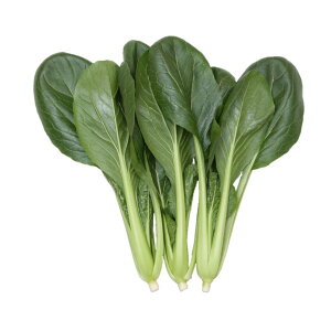   ͖k z R}ci nӍ̎   ƒ؉ v   _ ZNg