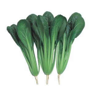   CR z R}ci nӍ̎   ƒ؉ v   _ ZNg