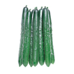 LE  ČC z nӍ̎ イ ӉZ ƒ؉ ؂̎ ؉  v^[͔| x_؉ v^[؉ ƒ؉S |S ȒP͔| ؍ ƍ͔| I