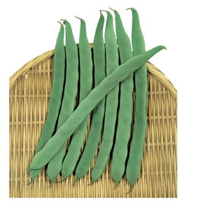 �C���Q�� �� �u���[�h�E�F�C ������z �n�Ӎ̎�� �������� ��� �ƒ�؉� �v������ ��� ���� �_�� �Z���N�g ��؂̎� �؉� �� �v�����^�[�͔| �x�����_�؉� �v�����^�[�؉� �ƒ�؉����S��