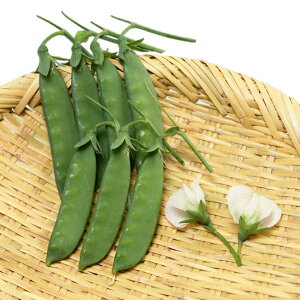 GhE  O\ z nӍ̎   ƒ؉ v   _ ZNg