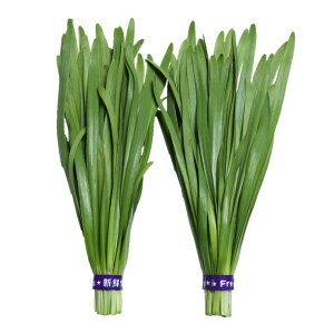 j  V[gX[v z nӍ̎   ƒ؉ v   _ ZNg