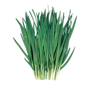 j  傤 z nӍ̎   ƒ؉ v   _ ZNg