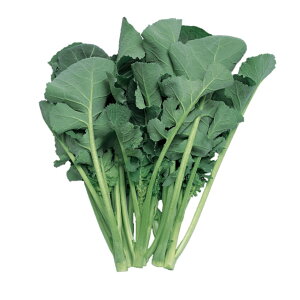 Ȃ΂  t z nӍ̎   ƒ؉ v   _ ZNg