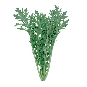 炵  AX z nӍ̎   ƒ؉ v   _ ZNg