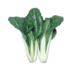 r^~  z nӍ̎   ƒ؉ v   _ ZNg