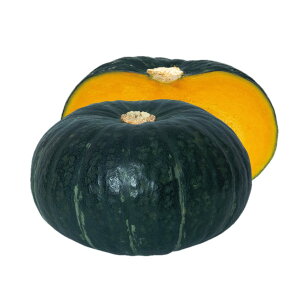 J{`  I@ z nӍ̎   ƒ؉ v   _ ZNg