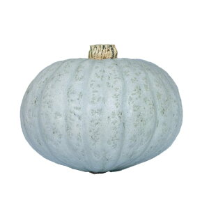 J{`  ƂĂ z nӍ̎   ƒ؉ v   _ ZNg