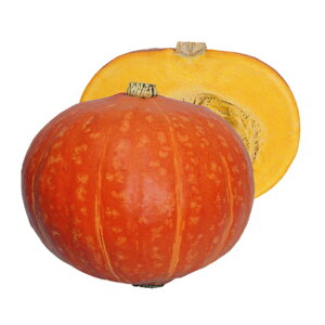 J{`  g z nӍ̎   ƒ؉ v   _ ZNg