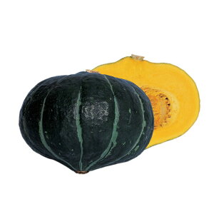 J{`  قƂI z nӍ̎   ƒ؉ v   _ ZNg