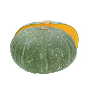 J{`  ƂI z nӍ̎   ƒ؉ v   _ ZNg